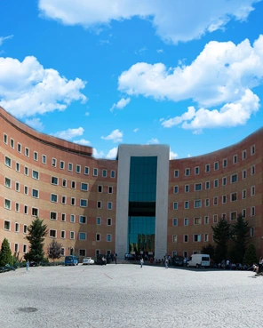 Yeditepe University - Turkey